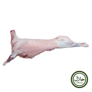 SHEEP WHOLE